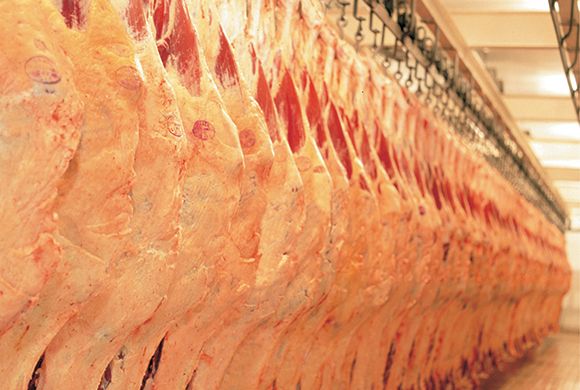 MT ultrapassa SP e lidera exportação de carne bovina