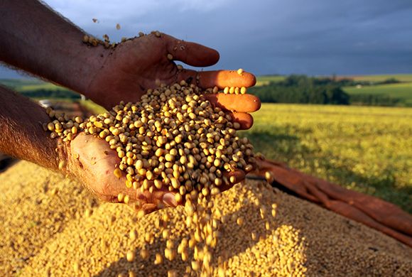 USDA prevê safra nova de 107 milhões de t de soja no Brasil